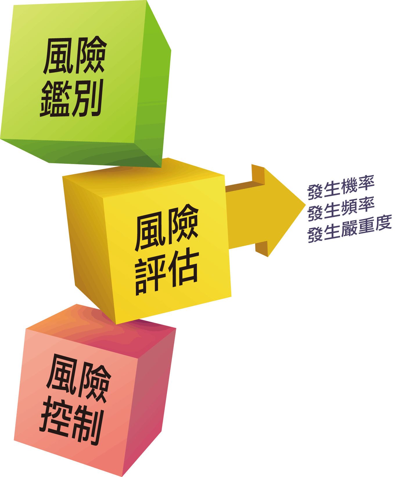 My Image 31
